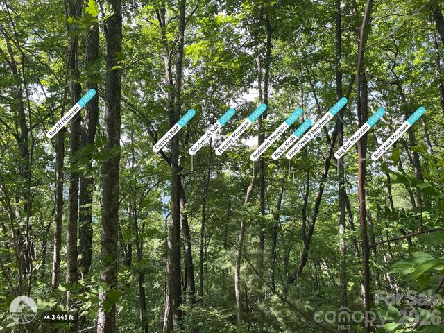 225 Lucerne Drive, Canton, NC 28716