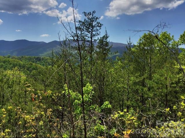 225 Lucerne Drive, Canton, NC 28716