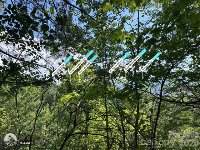 225 Lucerne Drive, Canton, NC 28716