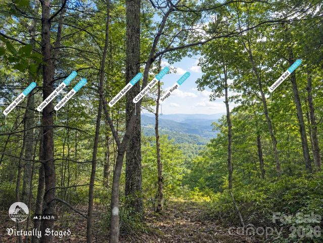 225 Lucerne Drive, Canton, NC 28716