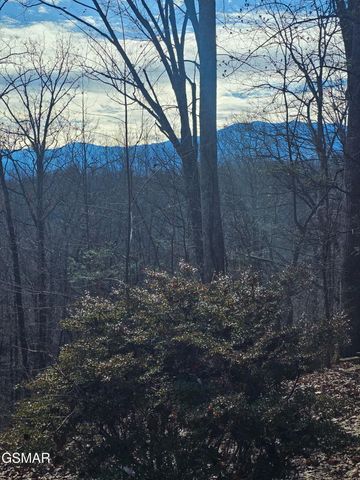 2239 Grassy Branch Road, Sevierville, TN 37876