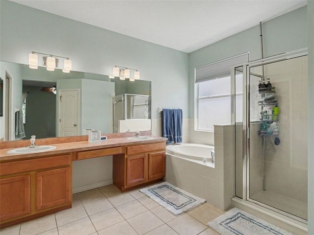 11102 SILVER DANCER DR, Riverview, FL 33579