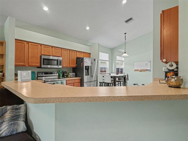 11102 SILVER DANCER DR, Riverview, FL 33579