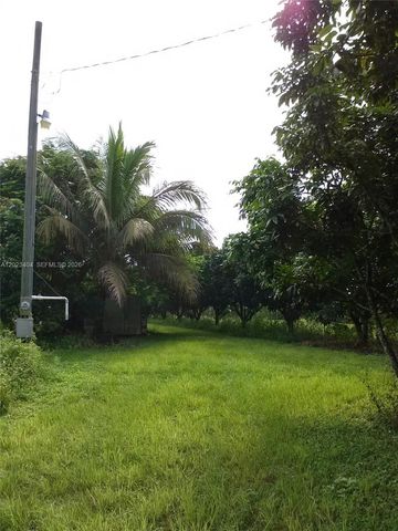 19675 SW 165 AVENUE, Miami, FL 33187