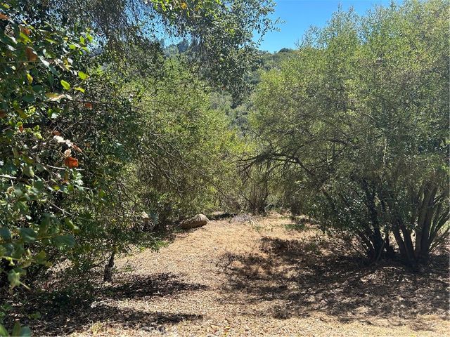 2451 Nalin DR, Los Angeles, CA 90077