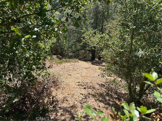 2451 Nalin DR, Los Angeles, CA 90077