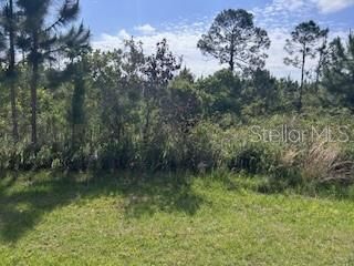 12 DESOTO (RED GRANGE BLVD) AVENUE, Indian Lake Estates, FL 33855