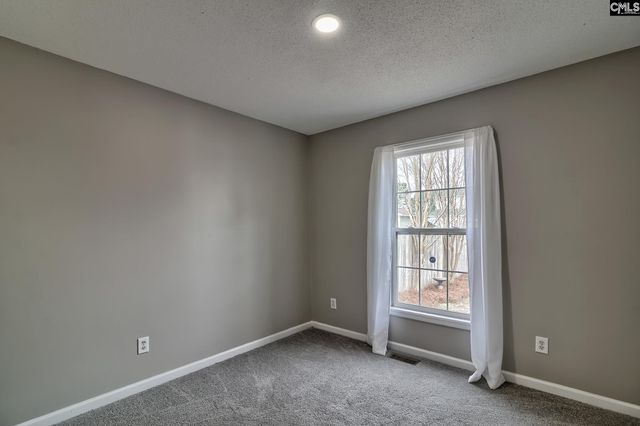 317 Louisa Lane, Lexington, SC 29073