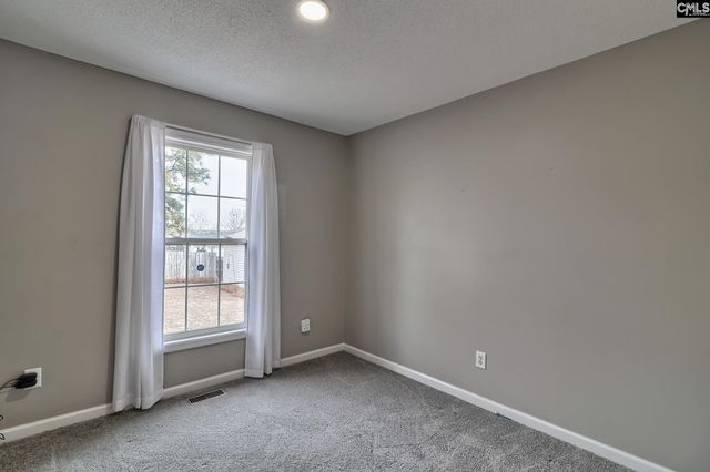 317 Louisa Lane, Lexington, SC 29073