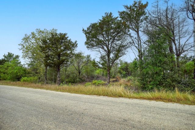 TBD N Gaines RD, Cedar Creek, TX 78602