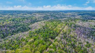 Old Collins Rd, Deer Lodge, TN 37726