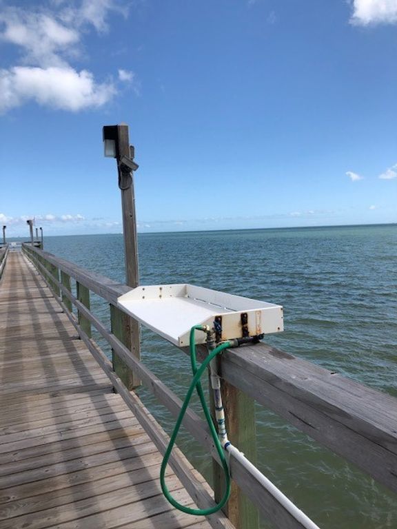 4350 Ocean Dr 202, Corpus Christi, TX 78412 — photo 5