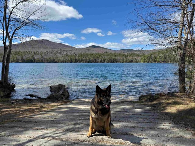 61 Bayle Mountain Road, Ossipee, NH 03814