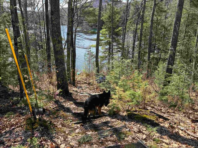 61 Bayle Mountain Road, Ossipee, NH 03814