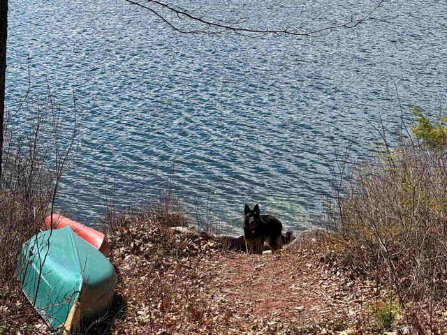 61 Bayle Mountain Road, Ossipee, NH 03814