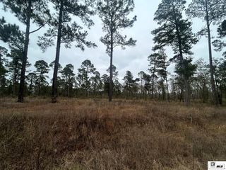 0 CAPLES ROAD, West Monroe, LA 71291