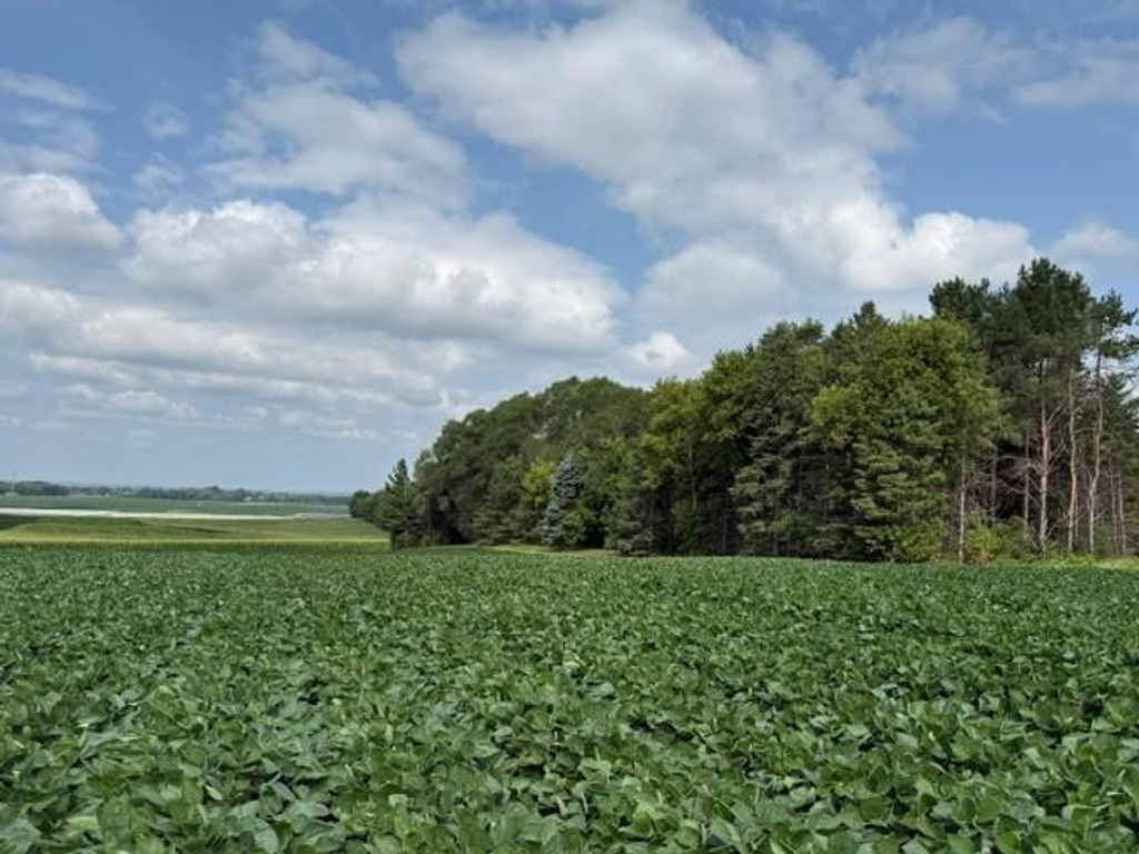 Lot B Lehigh Road, Cottage Grove, MN 55016 — exterior
