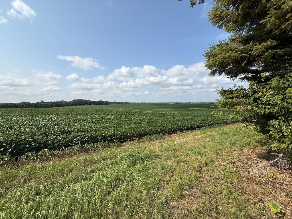 Lot B Lehigh Road, Cottage Grove, MN 55016 — photo 3