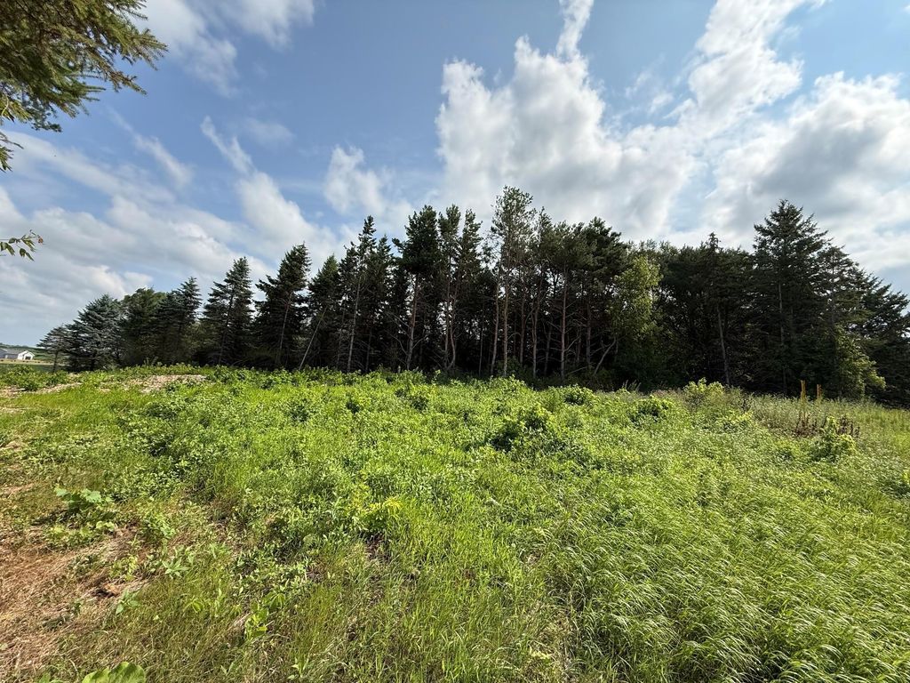 Lot B Lehigh Road, Cottage Grove, MN 55016 — photo 4