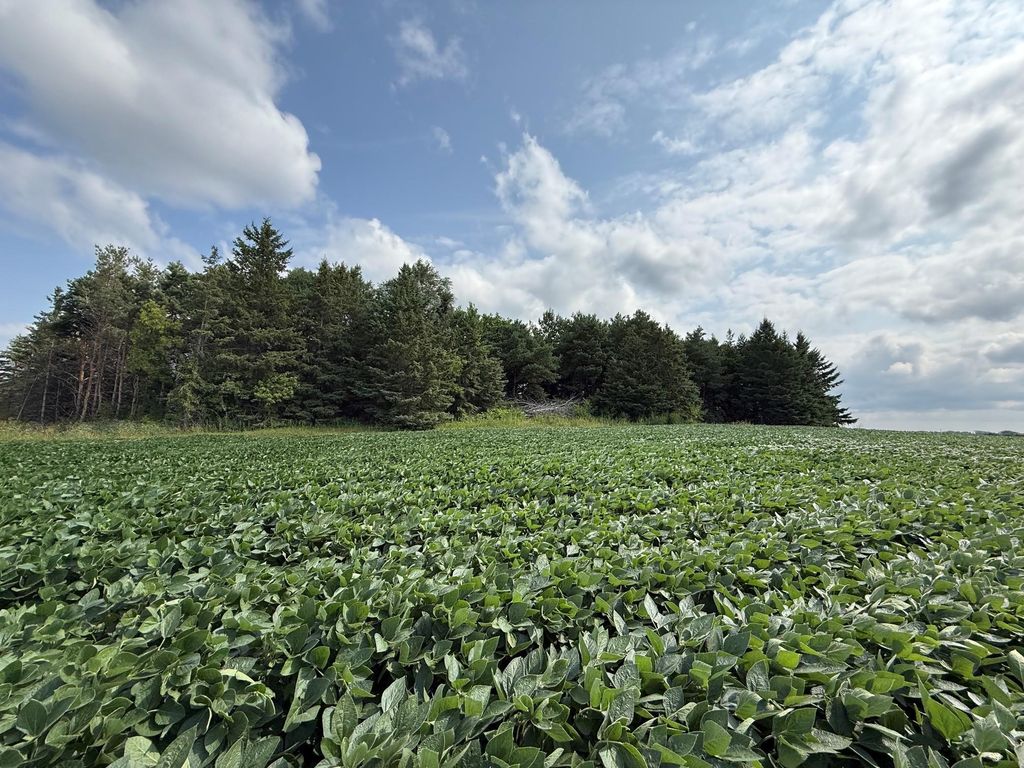 Lot B Lehigh Road, Cottage Grove, MN 55016 — photo 5