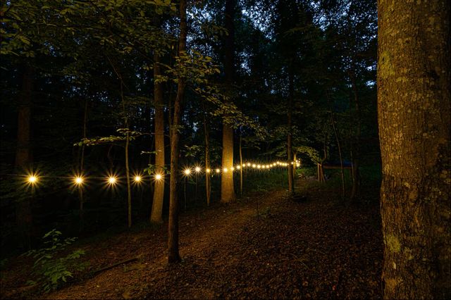 269 Whitts Acres Lane, Wellington, KY 40387