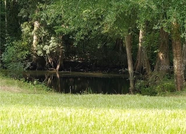 12253 E BERRY LANE, Floral City, FL 34436