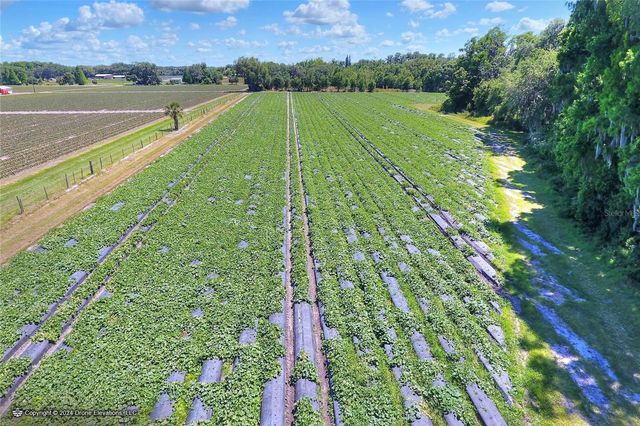 5625 STAFFORD ROAD, Plant City, FL 33565