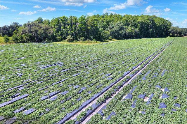 5625 STAFFORD ROAD, Plant City, FL 33565