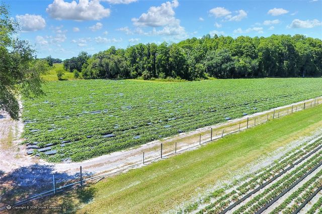 5625 STAFFORD ROAD, Plant City, FL 33565