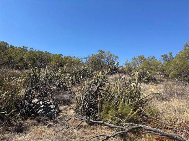 0 ShortCut, Aguanga, CA 92536