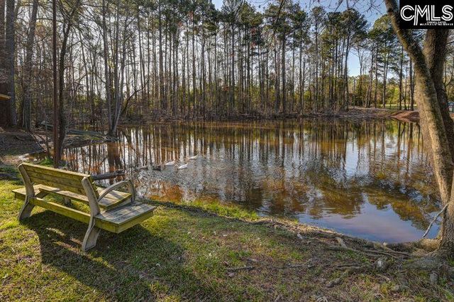 162 Baskin Hills Road, Lexington, SC 29072