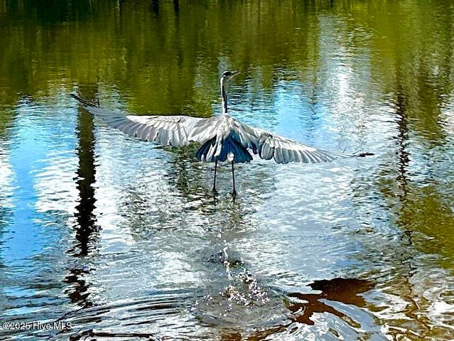 708 Mistique Court, New Bern, NC 28560