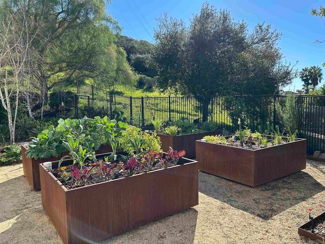 10154 Pinecastle St, San Diego, CA 92131