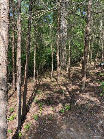 0 Redwood Lane, Elkview, WV 25071