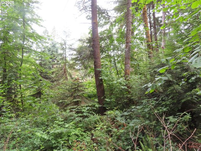 21720 Zenkner Valley Rd, Centralia, WA 98531