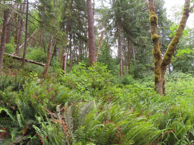 21720 Zenkner Valley Rd, Centralia, WA 98531