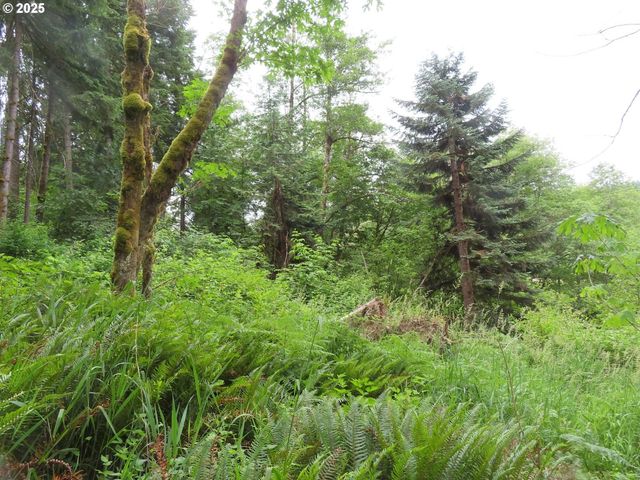 21720 Zenkner Valley Rd, Centralia, WA 98531