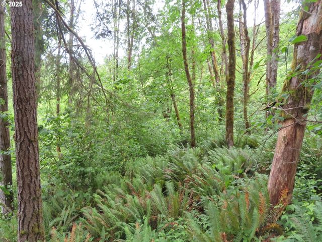 21720 Zenkner Valley Rd, Centralia, WA 98531