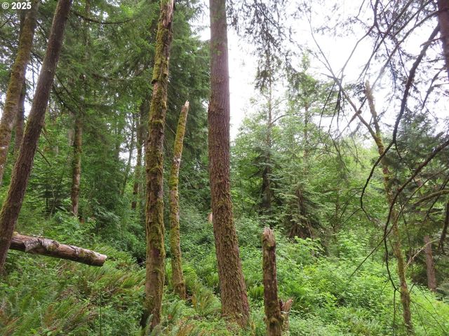 21720 Zenkner Valley Rd, Centralia, WA 98531