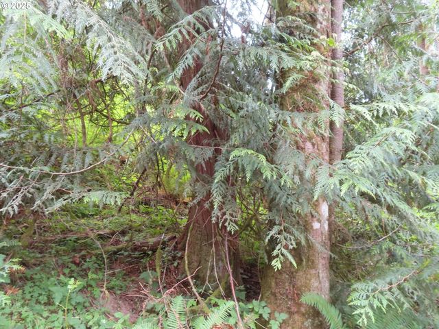 21720 Zenkner Valley Rd, Centralia, WA 98531