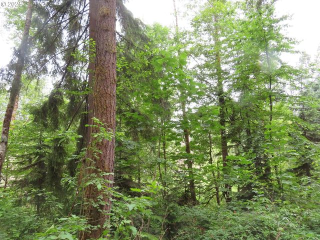 21720 Zenkner Valley Rd, Centralia, WA 98531