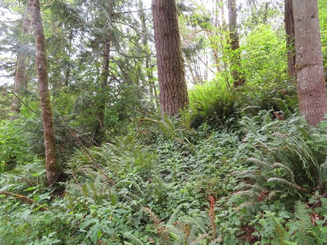 21720 Zenkner Valley Rd, Centralia, WA 98531