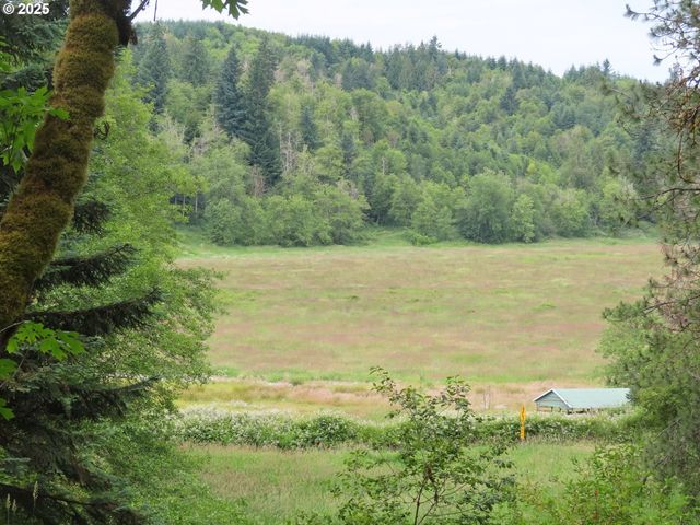 21720 Zenkner Valley Rd, Centralia, WA 98531