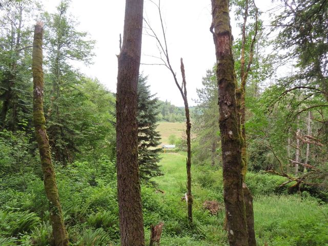 21720 Zenkner Valley Rd, Centralia, WA 98531