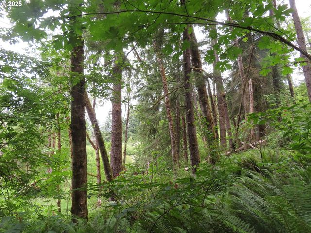 21720 Zenkner Valley Rd, Centralia, WA 98531