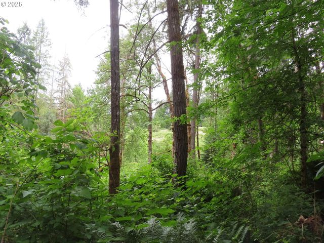 21720 Zenkner Valley Rd, Centralia, WA 98531
