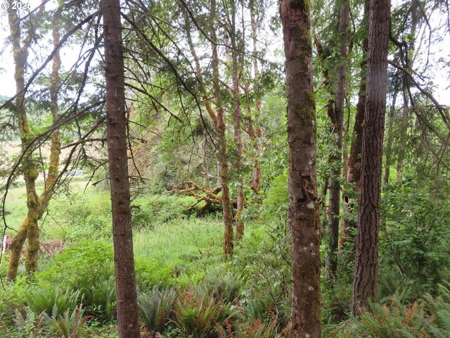 21720 Zenkner Valley Rd, Centralia, WA 98531