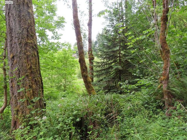 21720 Zenkner Valley Rd, Centralia, WA 98531
