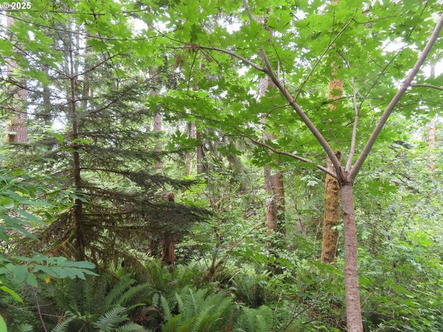 21720 Zenkner Valley Rd, Centralia, WA 98531