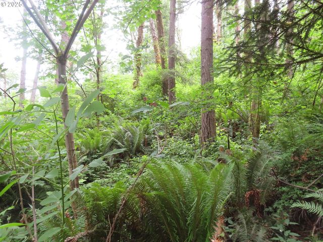 21720 Zenkner Valley Rd, Centralia, WA 98531